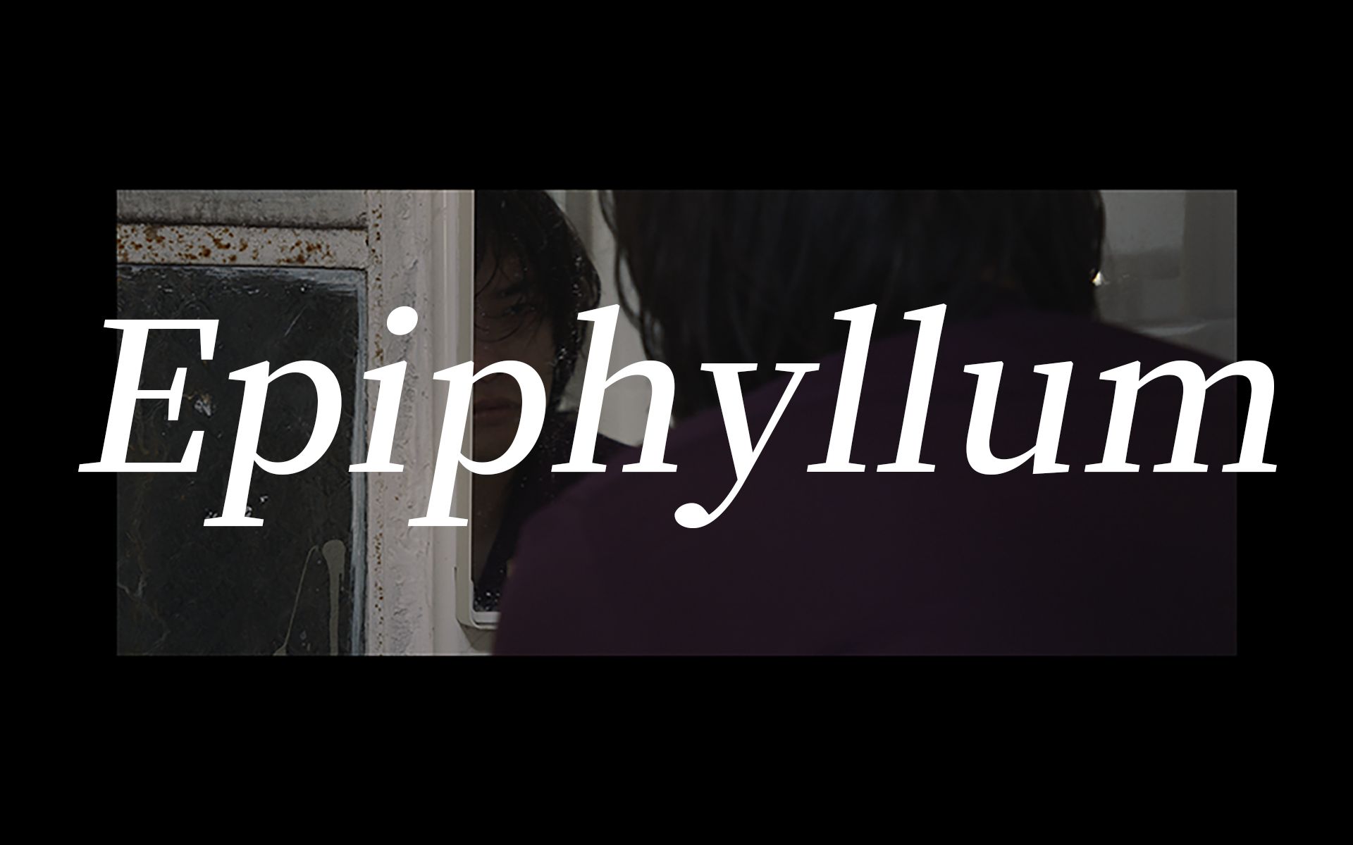 【ASOUL嘉然 / 原创曲MV】EPIPHYLLUM哔哩哔哩bilibili