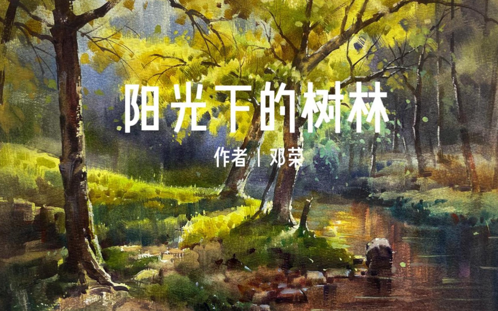 阳光下的树林水彩风景哔哩哔哩bilibili