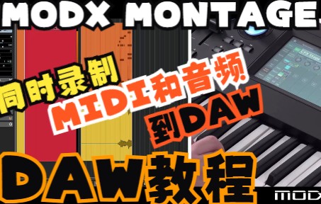 MODX MONTAGE的DAW教程:4 同时录制MIDI和音频到DAW(YAMAHA Cubase Nuendo 合成器教程 )哔哩哔哩bilibili