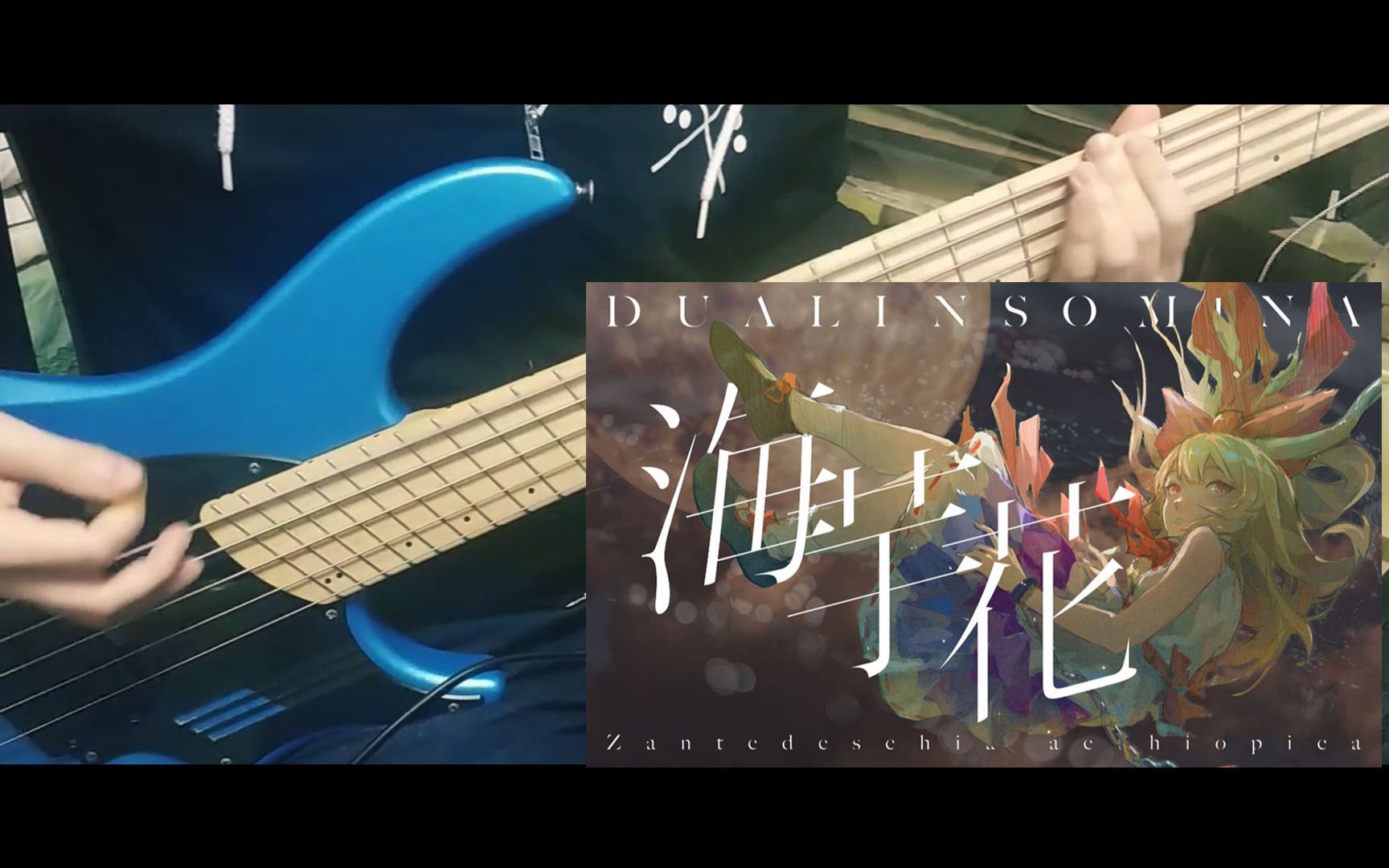 【BASS COVER】DualInsomiNa  海芋花哔哩哔哩bilibili