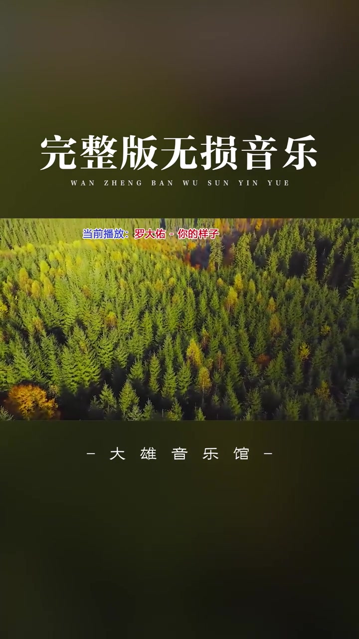 [图]这才是你的样子最好听的版本罗大佑沧桑的歌喉开口就醉罗大佑经典