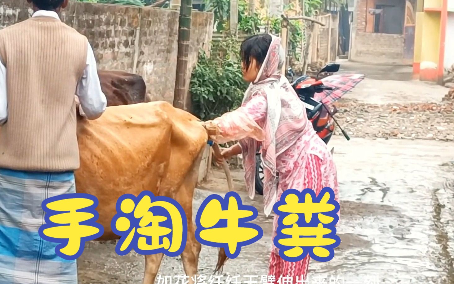 印度美女给老黄掏粪,场面解压