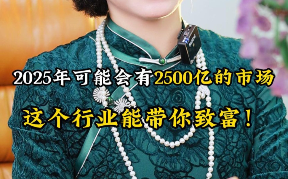 2025年这个行业将会迎来大爆发,选对行业就是致富!哔哩哔哩bilibili