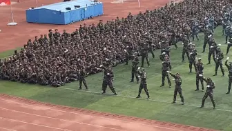 你给兰大一个好苗子，兰大还你一个好摇子
