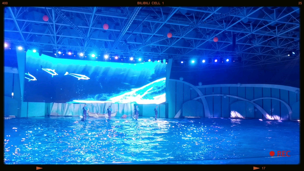 青岛极地馆海豚表演