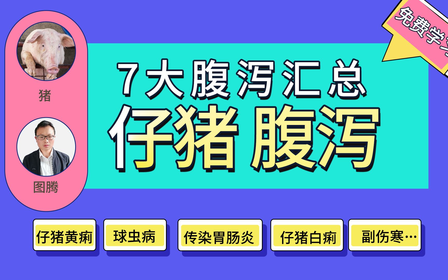 猪场常见的7种仔猪腹泻,对症治疗能解决,养猪人值得收藏!哔哩哔哩bilibili