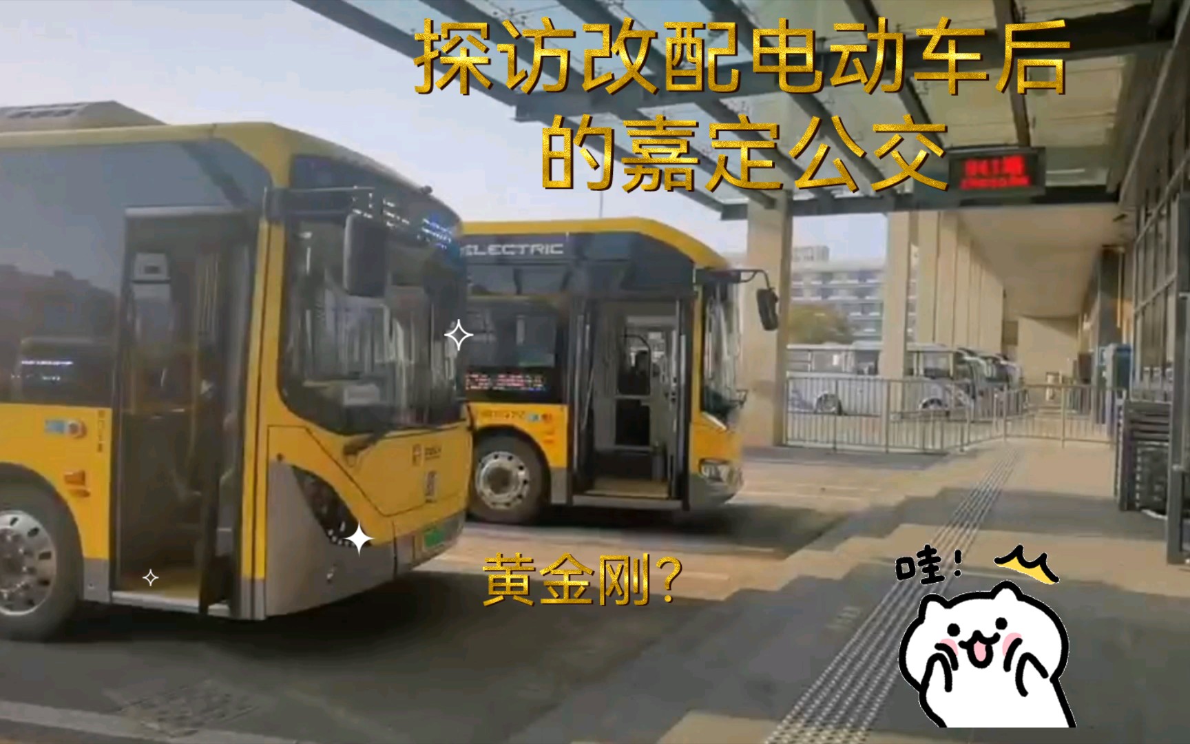 黄金刚?最后一排不是五连坐?