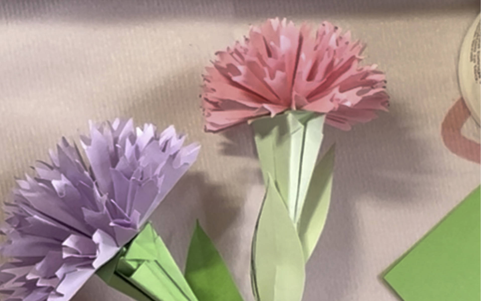 康乃馨折纸视频图片