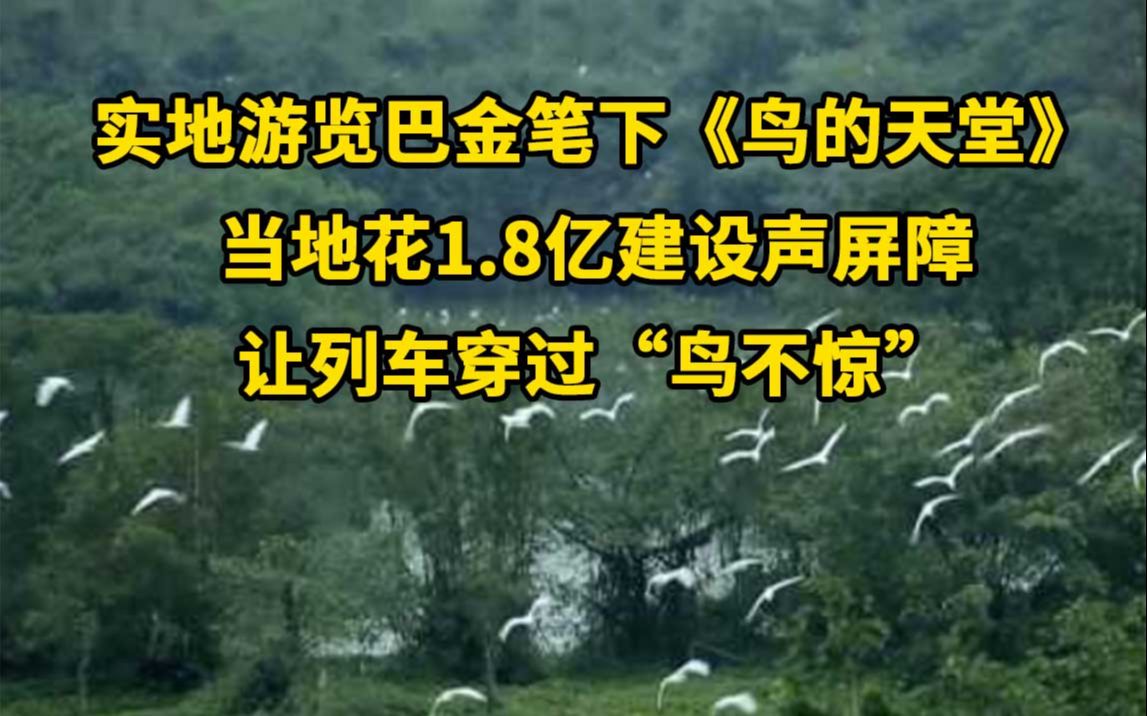 实地游览巴金笔下《鸟的天堂》:当地耗资1.8亿建设声屏障,列车穿过“鸟不惊”哔哩哔哩bilibili