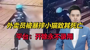 气愤！饿了么骑手当街拎起小猫反复狠摔踩踏_哔哩哔哩(゜-゜)つロ干杯 