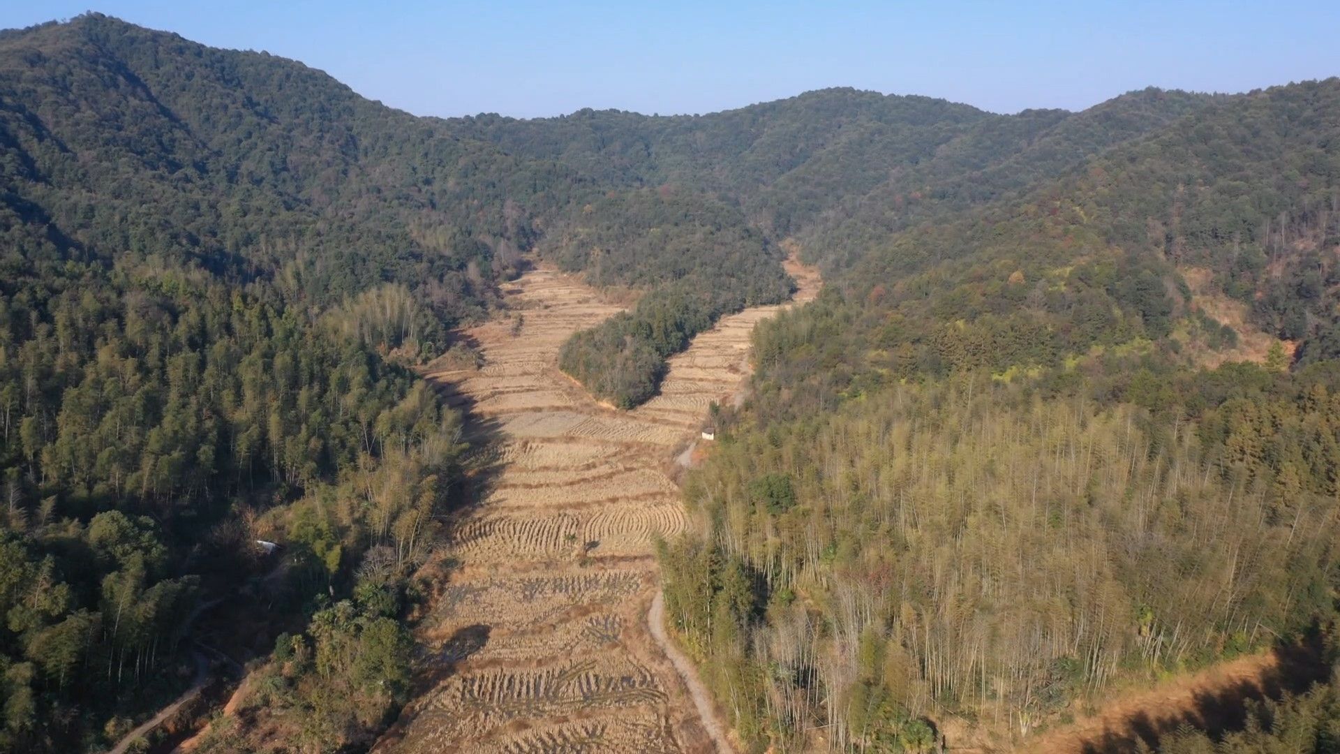 下山蛇儿,地形惟妙惟肖,这地是否成立?哔哩哔哩bilibili