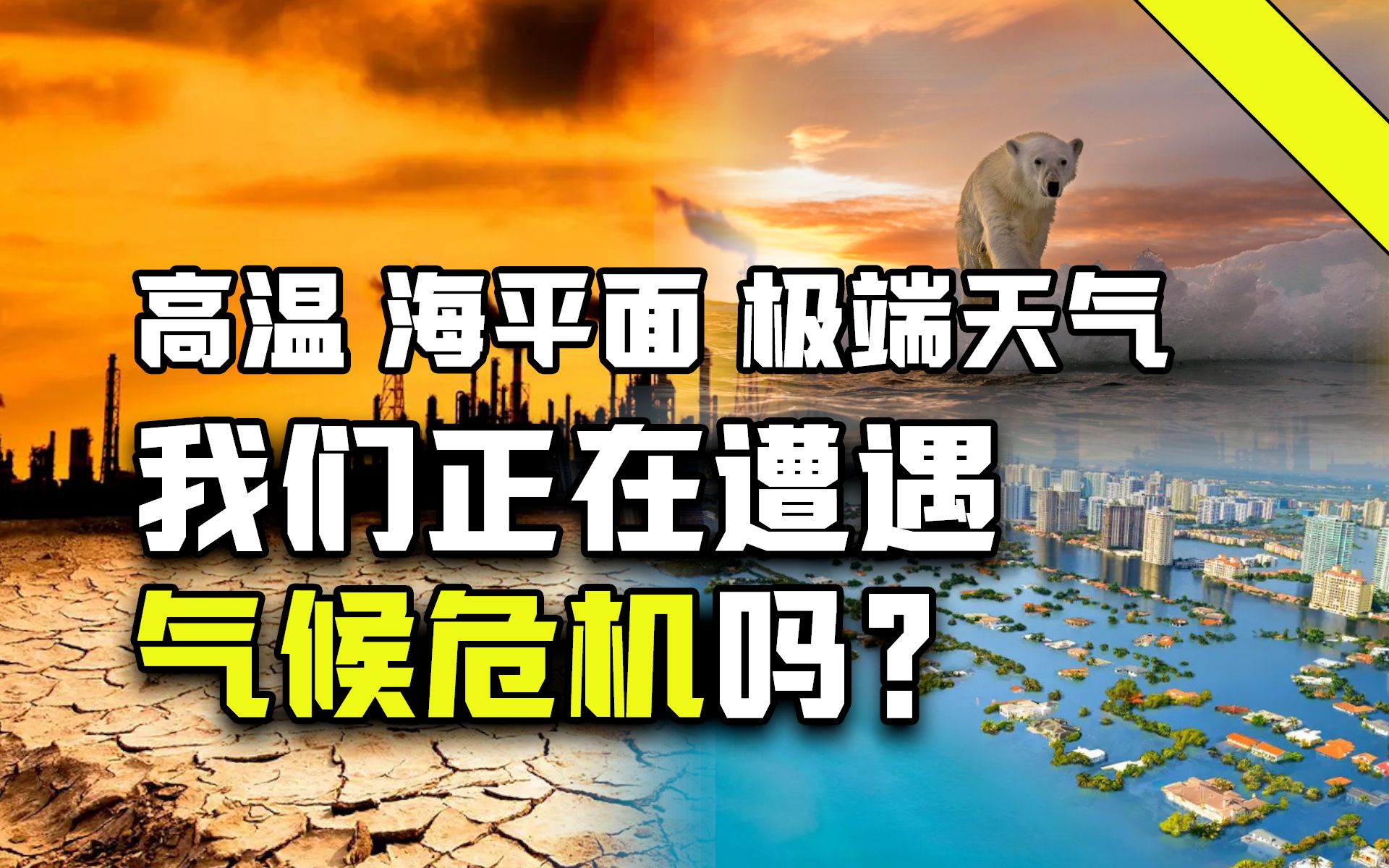 [图]又一个最热的夏天？气候危机是阴谋还是正在发生？【牧杂谈·特别篇】