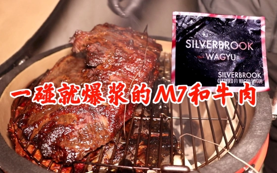 燕子堡bbq学徒ray的个人空间 哔哩哔哩 つロ乾杯 Bilibili