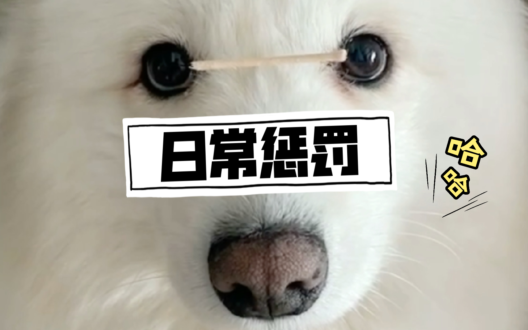 活动作品日常惩罚咬棉签