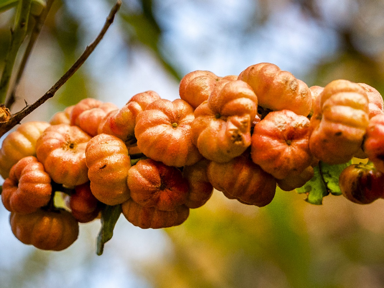 生物多样性保护科普