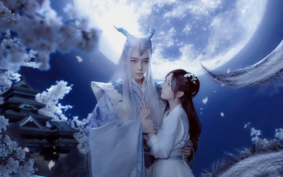 lltz 24-25_哔哩哔哩_bilibili