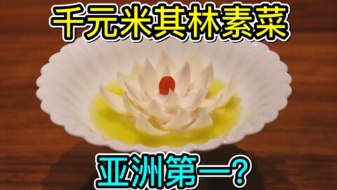 食酒vlog 69 花上千元吃亚洲第一米其林素菜馆 肉食动物都被征服了 福和慧 哔哩哔哩 Bilibili