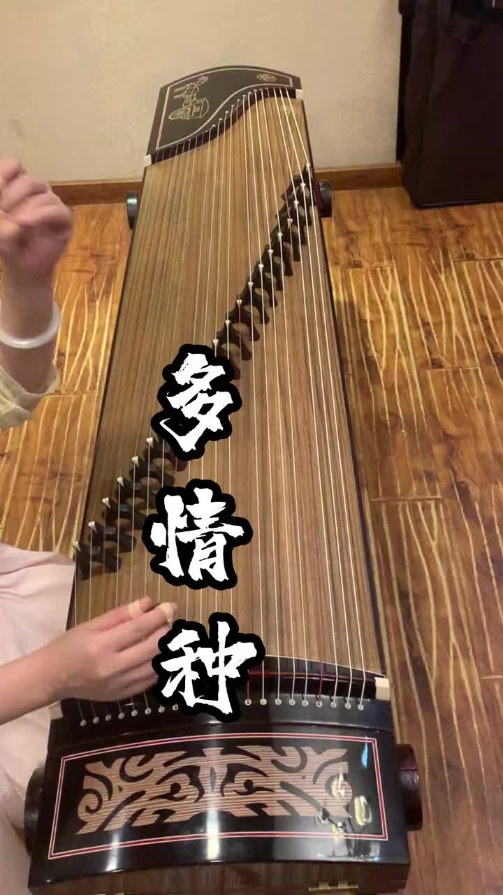 广州古筝专卖店用东韵古筝现场弹奏多情种古筝古筝演奏古筝流行曲
