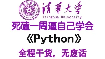 【全569集】全B站最易学最强的Python零基础全套教程，2025最新版，带你7天搞定Python，0基础小白看这套Python教程就够了，存下吧！