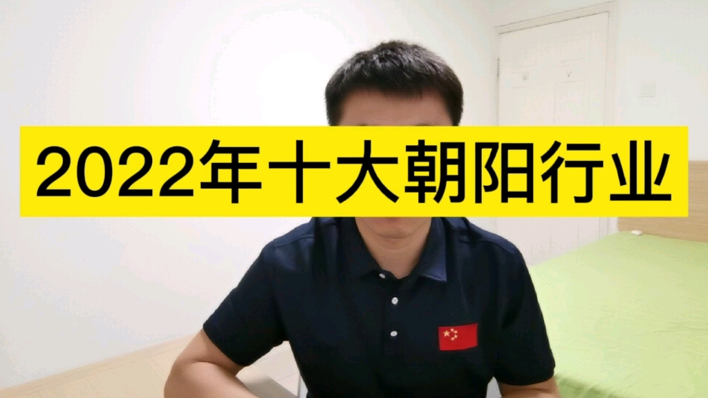 2022年十大朝阳行业哔哩哔哩bilibili