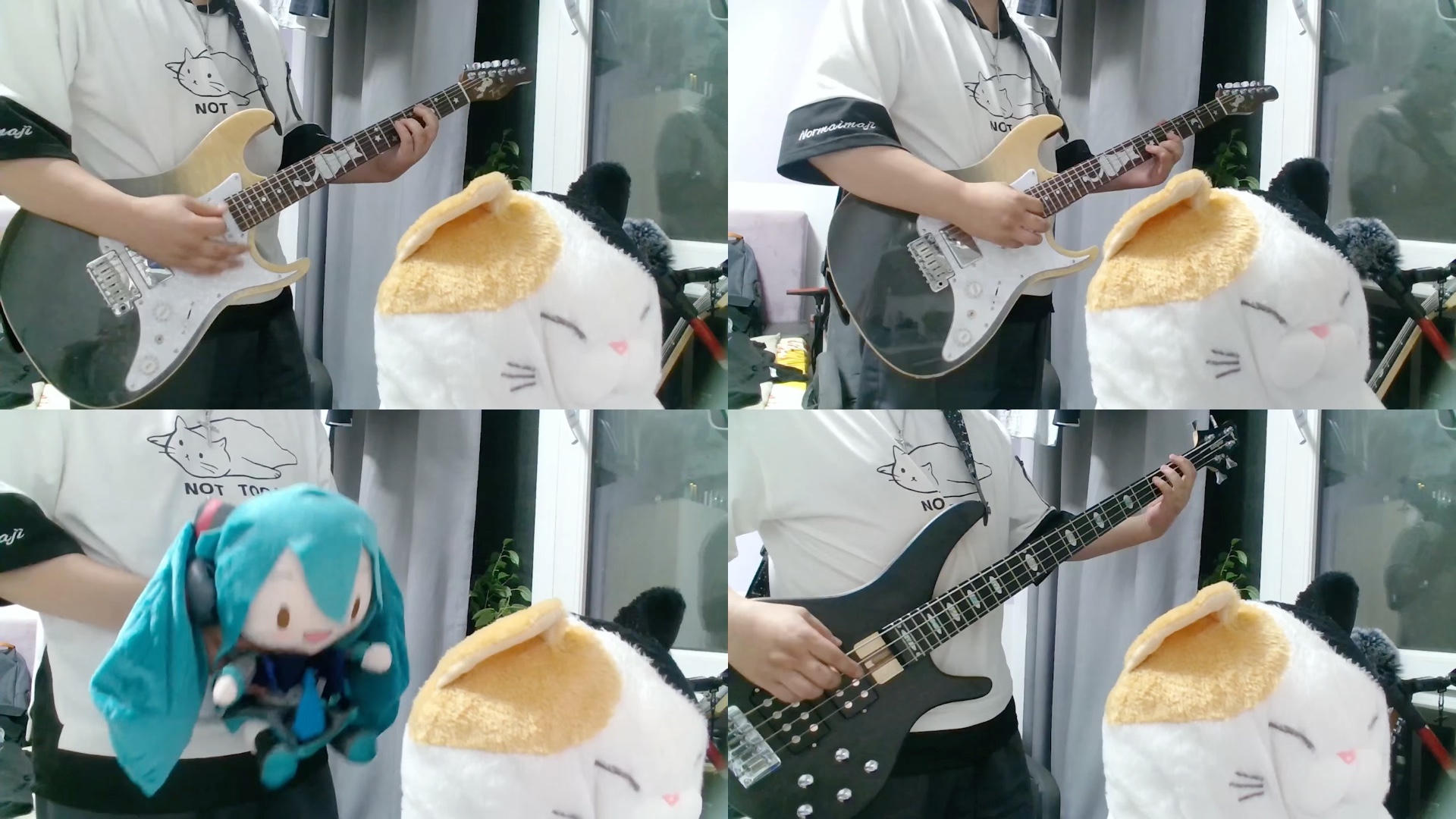 【翻弹】dandan 心魅かれてく