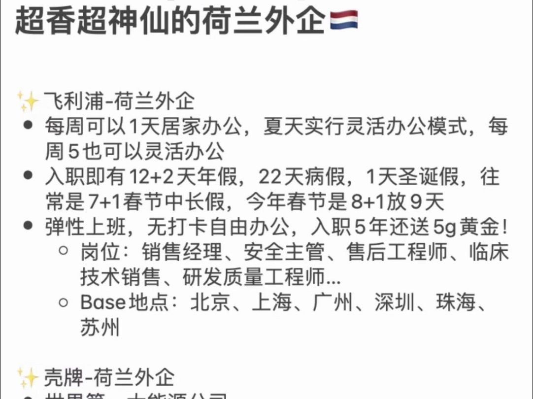 一月wlb荷兰外企有哪些?待遇福利怎么样?外企招聘I春招来袭I毕业生就业I外企I24届哔哩哔哩bilibili