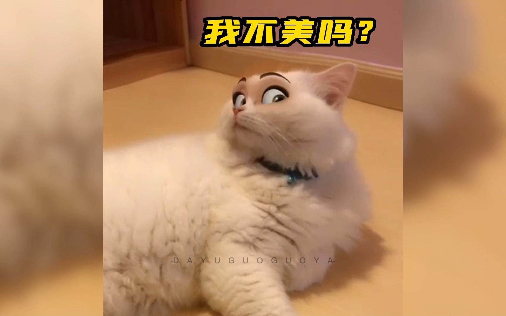 [图]猫：你就不能消停会儿吗？