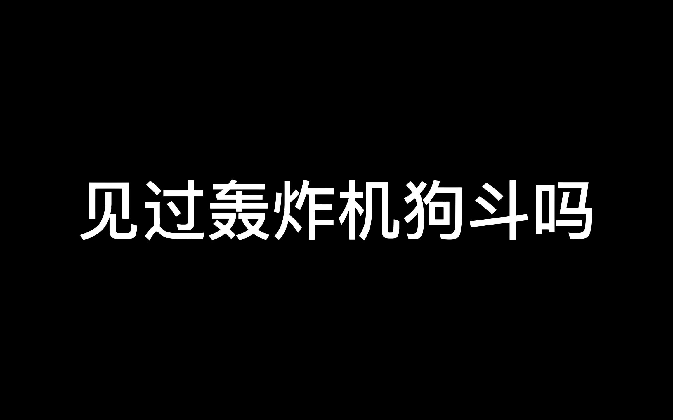 二战轰炸机狗斗战地