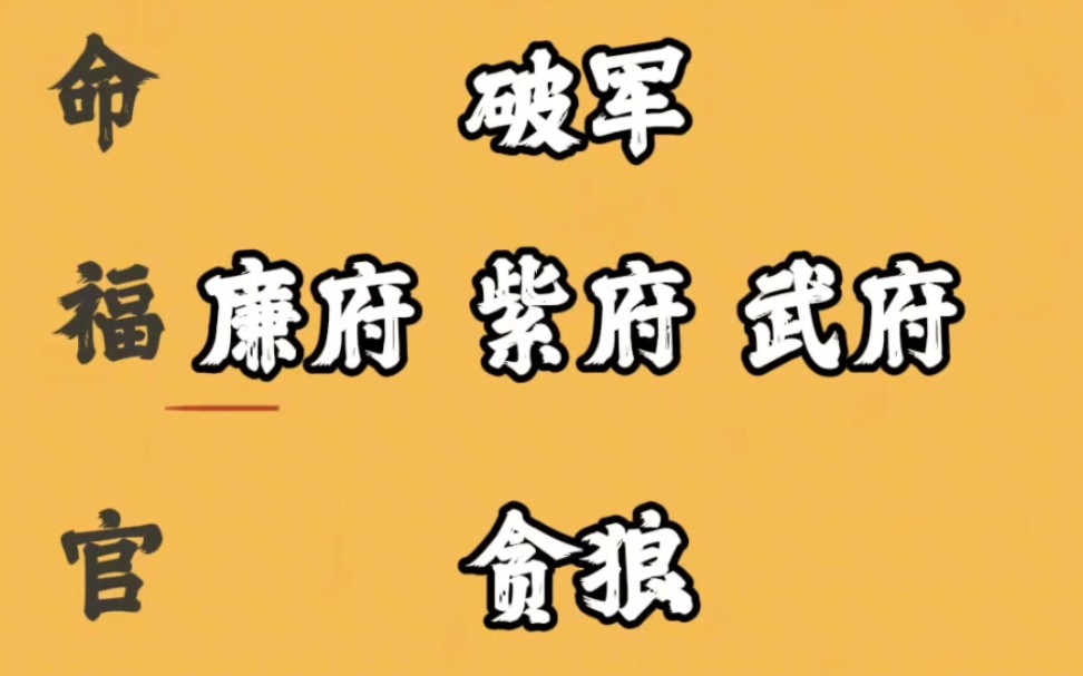 紫微斗数之贪狼独守官禄 贪狼在事业适合做什么好呢?哔哩哔哩bilibili