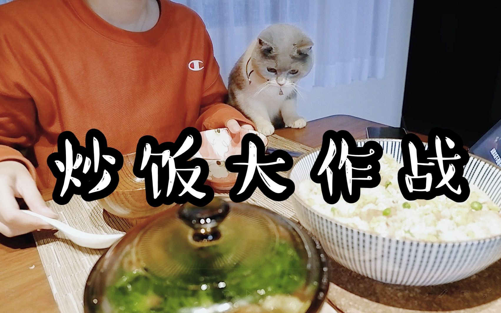 [图]【100块开饭啦Vlog2】炒饭大作战 碳水炸弹赐予力量