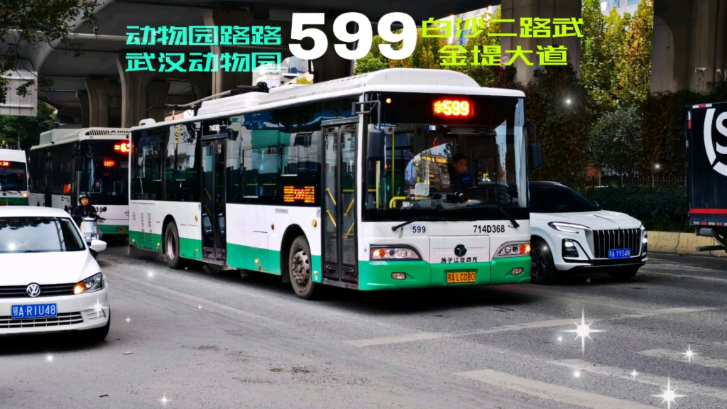 武汉公交 599 pov