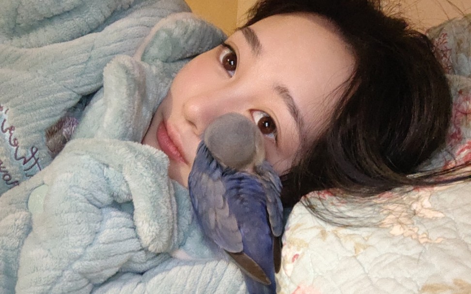 wuli妹妹_哔哩哔哩_bilibili