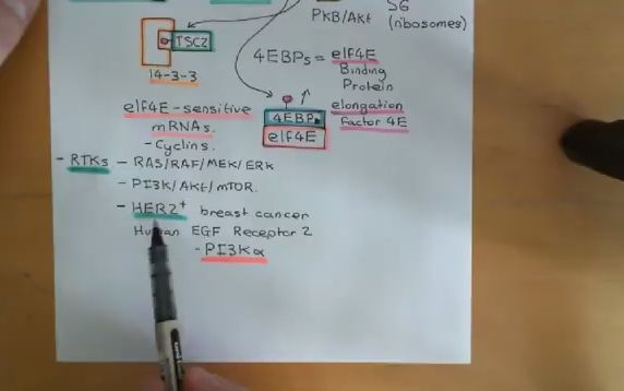 [图]The PI3K / AKT / mTOR Pathway and Cancer Part 6 - PI3K/AKT/mTOR通路与癌症P6