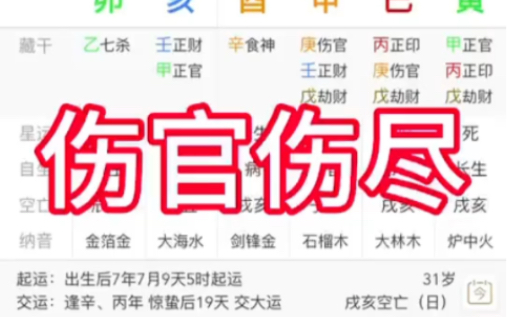 伤官伤尽的运势分析哔哩哔哩bilibili