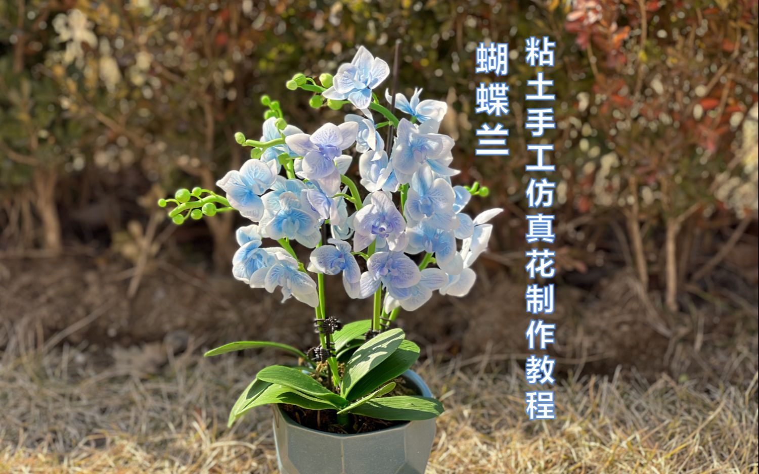 蝴蝶兰粘土手工仿真花线上视频教程课程