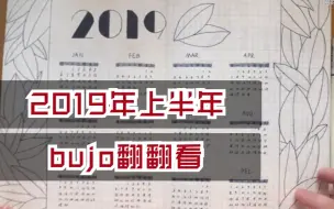 Download Video: 【阿姳呀的手账本】2019上半年bujo翻翻看│拼贴式bujo是什么样的？