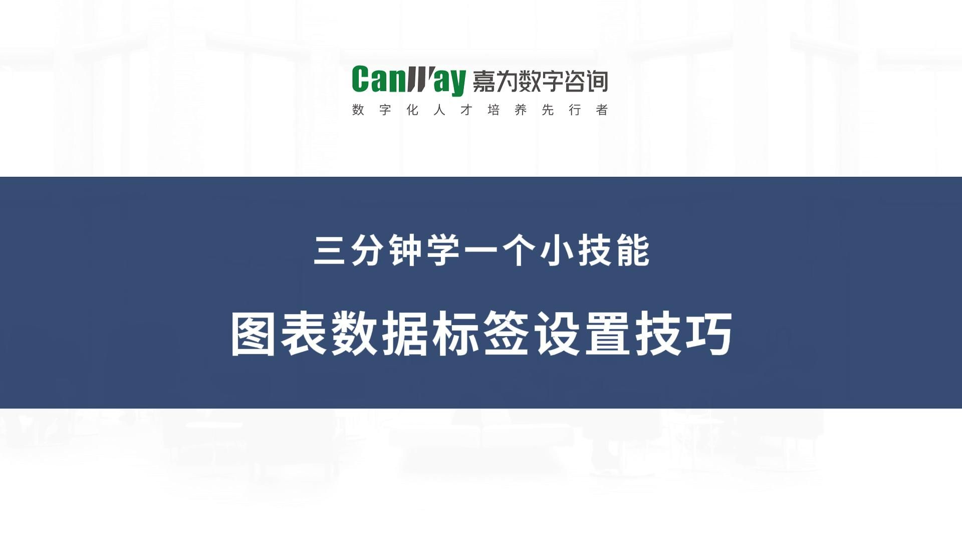Excel教程:图表数据标签设置技巧