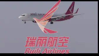 Download Video: 瑞丽航空B738降落哈尔滨太平