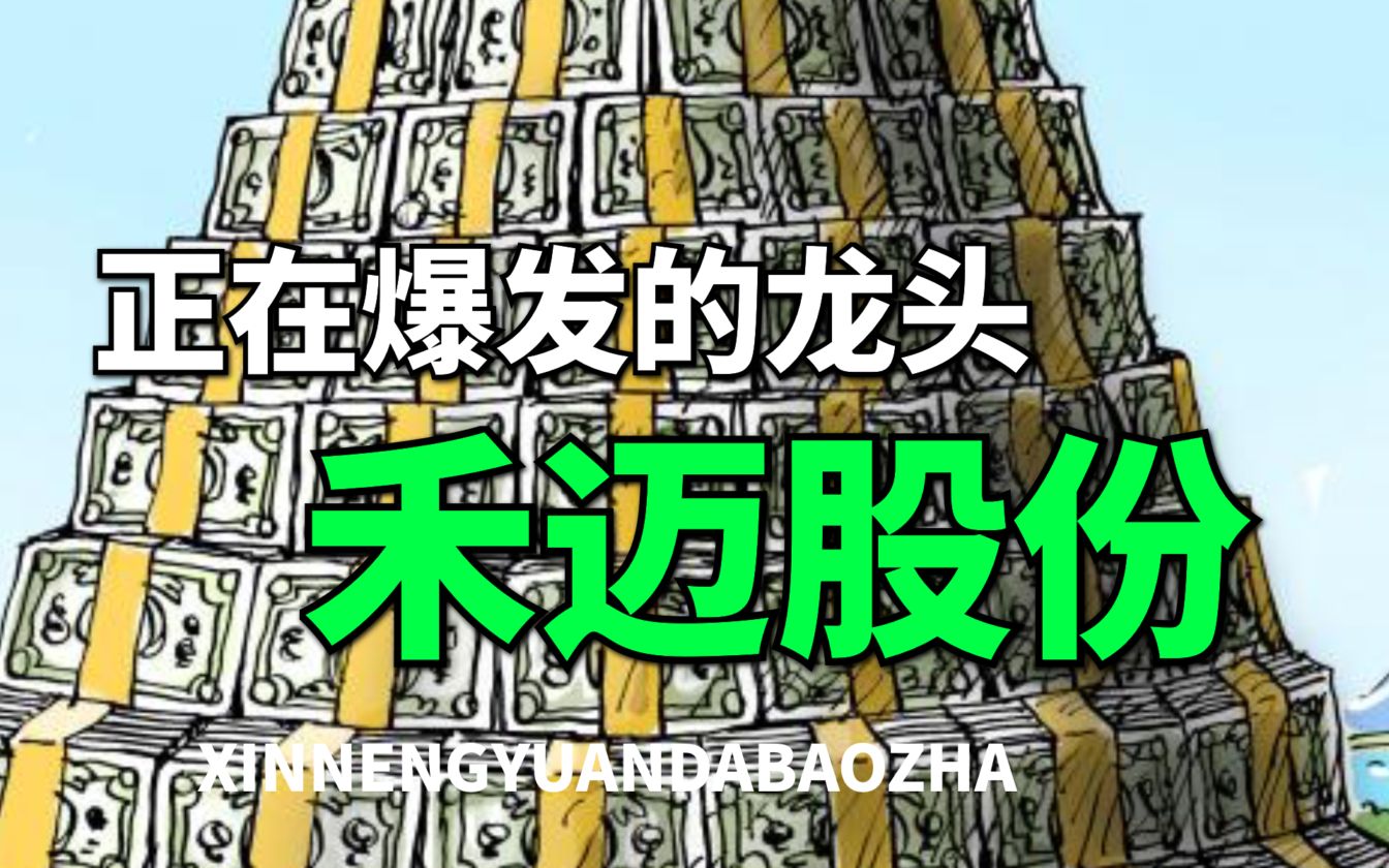 【大爆炸】下一个阳光电源,禾迈股份,正在快速爆发的中国微型逆变器龙头!哔哩哔哩bilibili