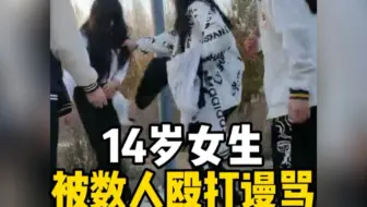 14岁在校女生被数人谩骂、打耳光、脚踢、扯头发，被害者全程没有说话和反抗