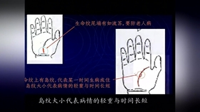 中国古代算命术剖析 第35集形形色色的占卜术 上 哔哩哔哩 つロ干杯 Bilibili