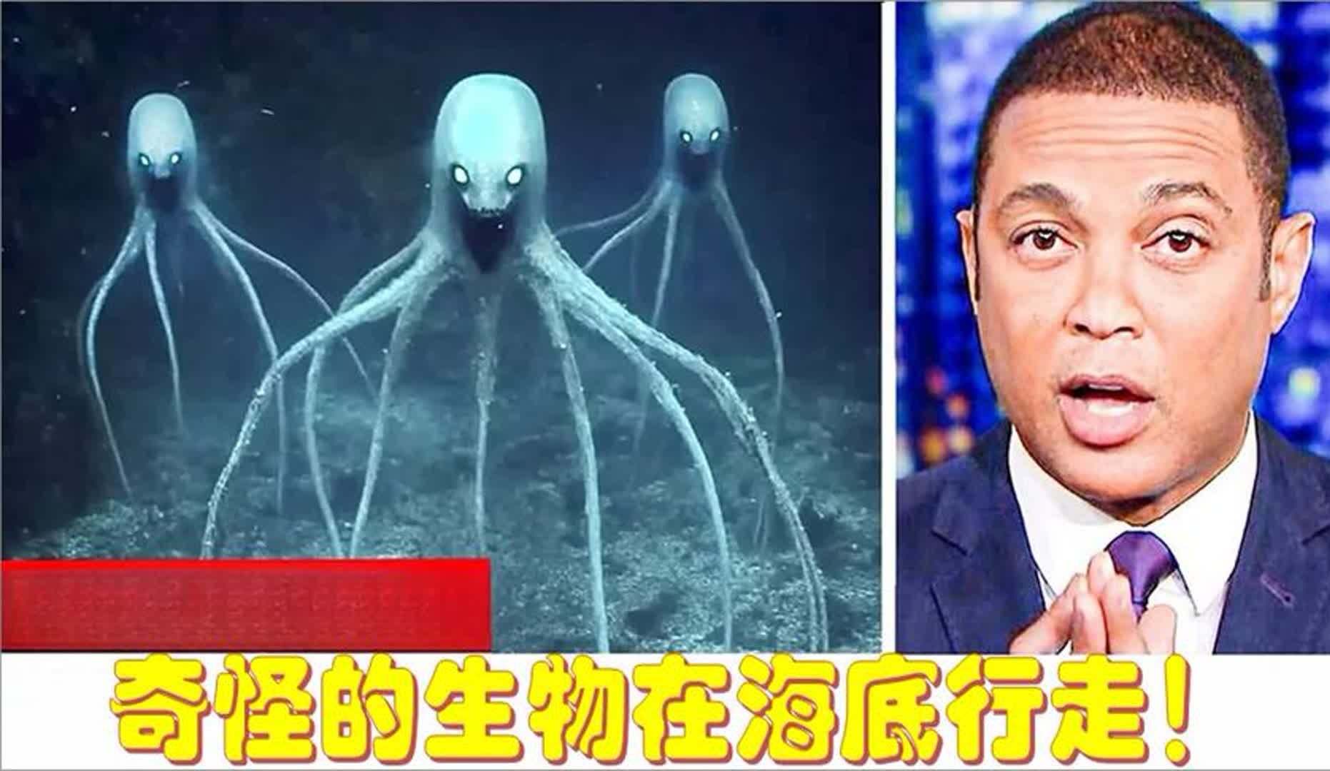 海底巨型不明生物图片