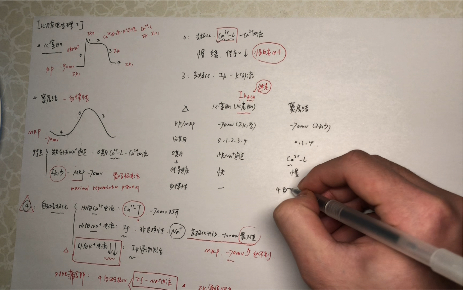 【心脏电生理2】医学生的生理学习分享 窦房结有啥特点? 啥叫自律性/自动去极化?给心肌细胞分分类?哔哩哔哩bilibili