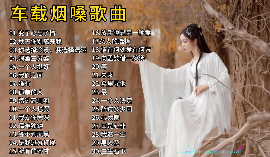 [图]车载烟嗓歌曲精选合集