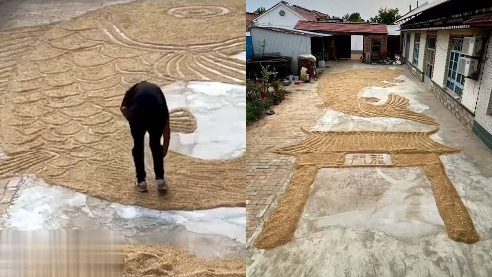 距高考仅1天!小伙耗时4小时,用麦粒画巨幅鲤鱼跃龙门应援高考哔哩哔哩bilibili