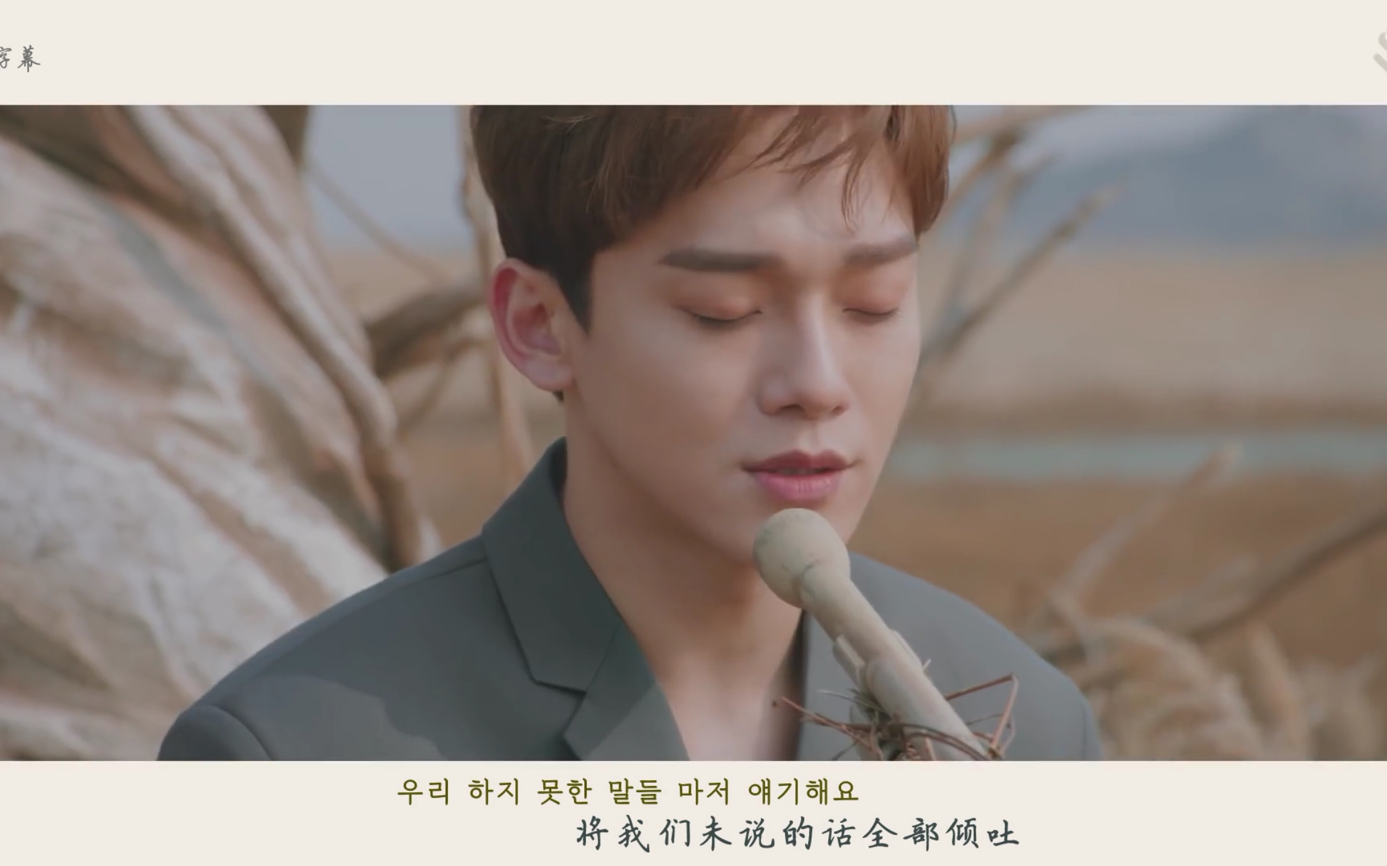 [图]CHEN 四月后的离别 (Beautiful goodbye) MV 中韩字幕 @神迹出品