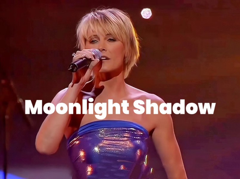 [图]比利时传奇歌手丹娜云妮经典歌曲《Moonlight Shadow》演唱会版!