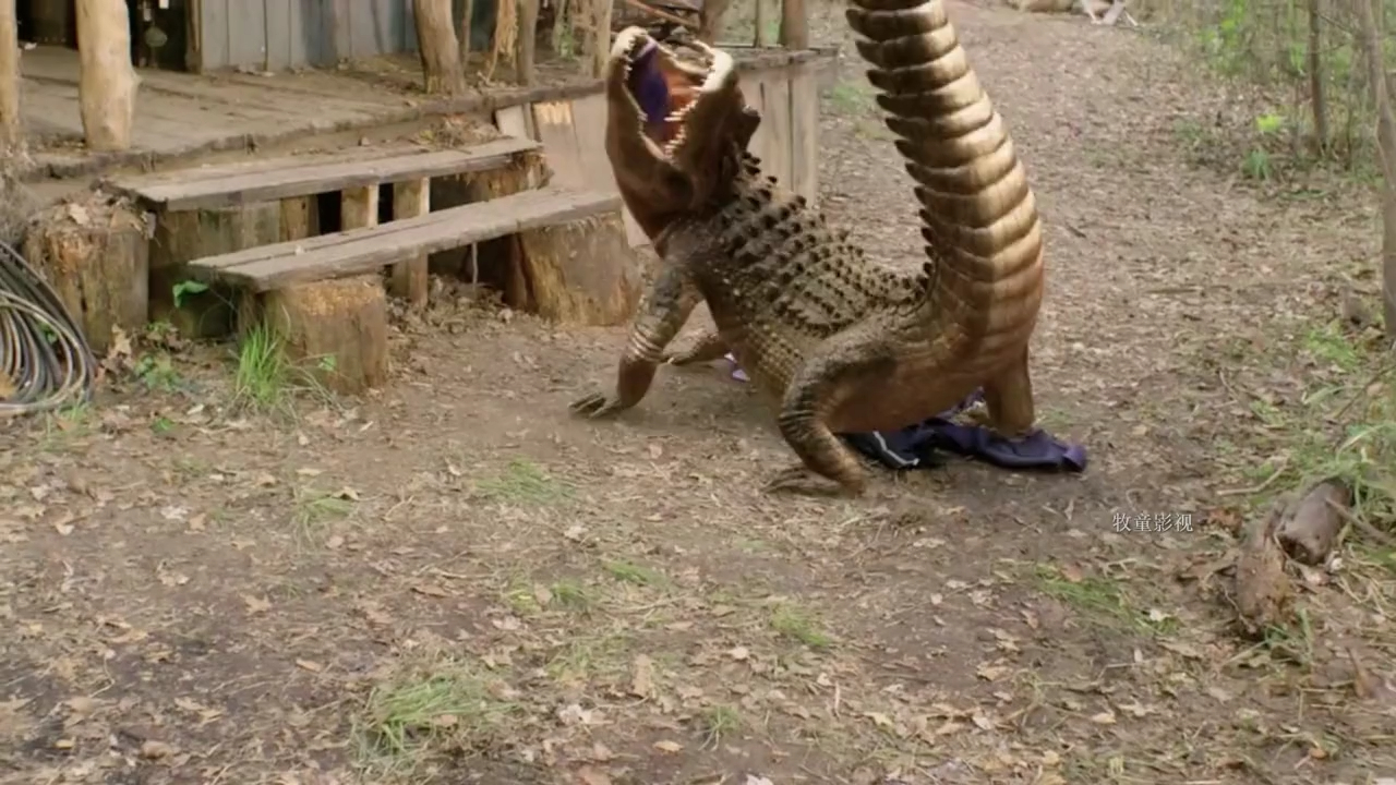 人变动物名场面你觉得那种最奇葩