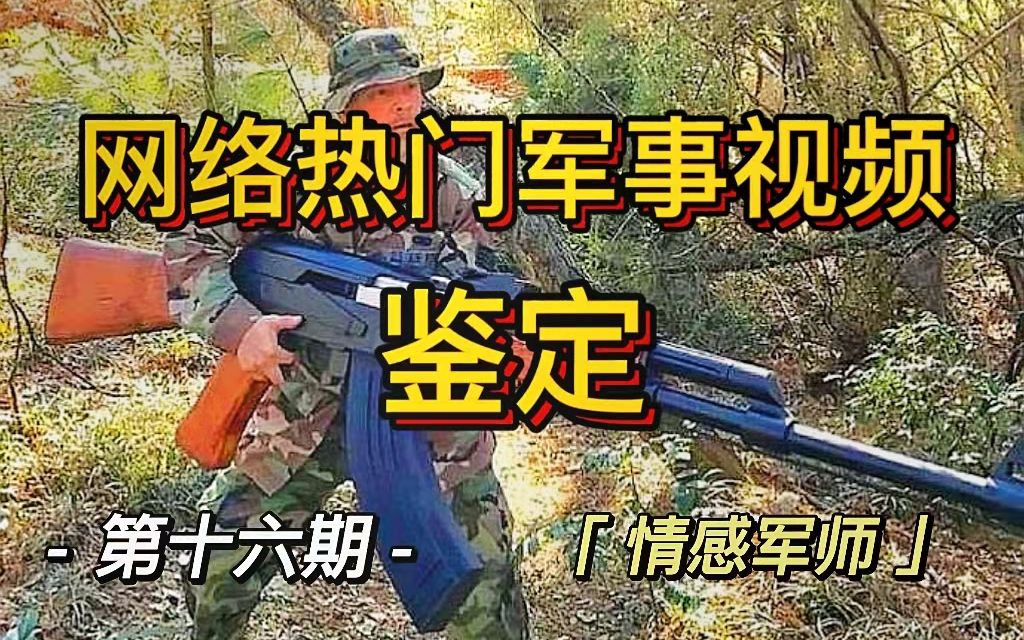 【网络热门军事视频鉴定】第十六期(字幕已补档)哔哩哔哩bilibili