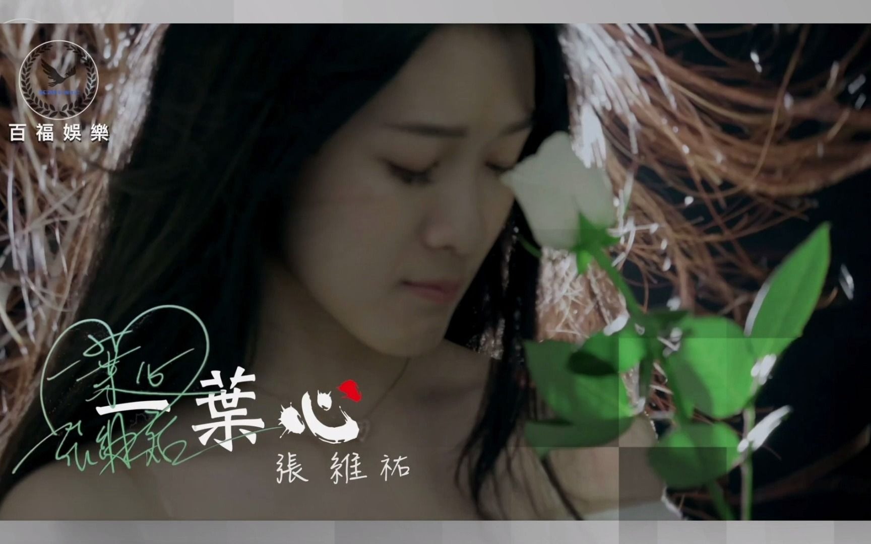 闽南歌《一叶心》张维祐